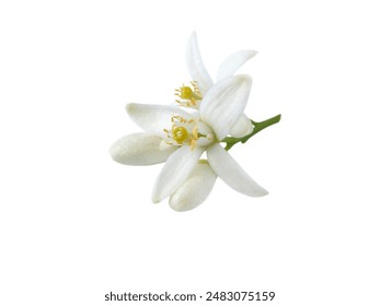 午夜福利在线看