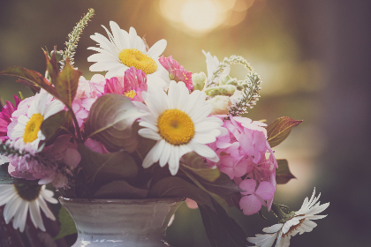 亚洲揄拍自拍区