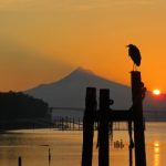 午夜福利官网 h0q8x